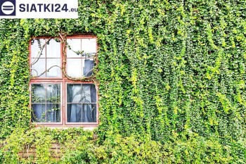 Siatki Starogard Gdański - Siatka z dużym oczkiem - wsparcie dla roślin pnących na altance, domu i garażu dla terenów Starogardu Gdańskiego